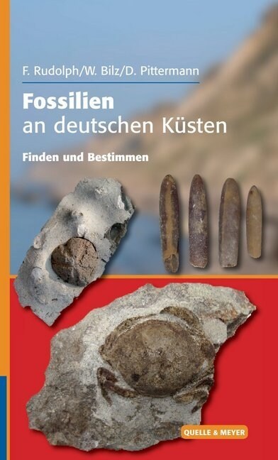 Fossilien an deutschen Kusten (Hardcover)