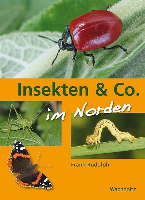 Insekten & Co. (Paperback)