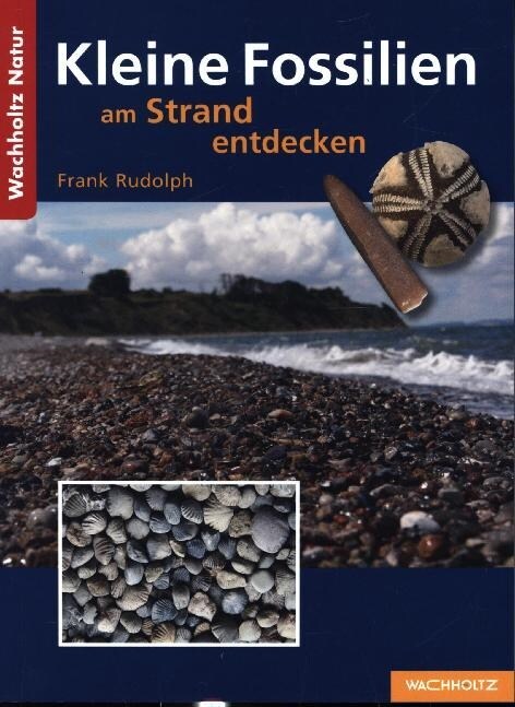 Kleine Fossilien am Strand entdecken (Paperback)