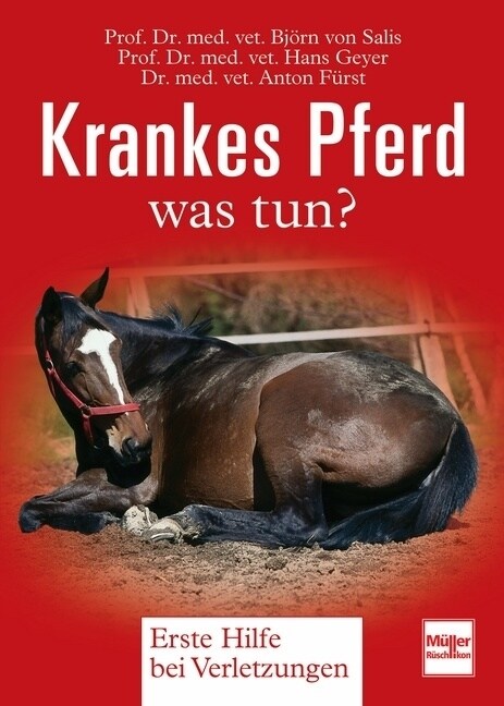 Krankes Pferd was tun？ (Hardcover)