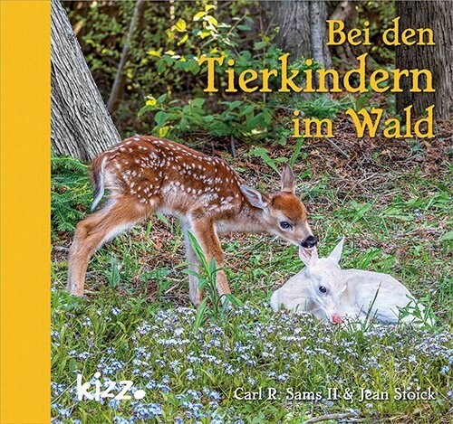 Bei den Tierkindern im Wald (Hardcover)