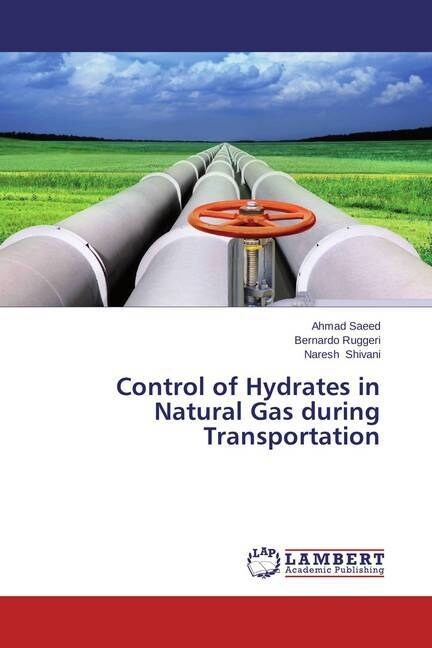 Control of Hydrates in Natural Gas during Transportation (Paperback)