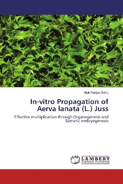 In-vitro Propagation of Aerva lanata (L.) Juss (Paperback)