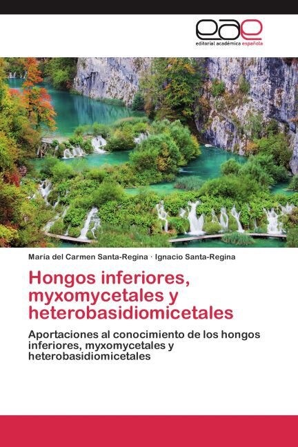 Hongos inferiores, myxomycetales y heterobasidiomicetales (Paperback)