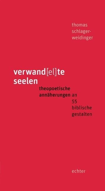 verwand(el)te seelen (Paperback)