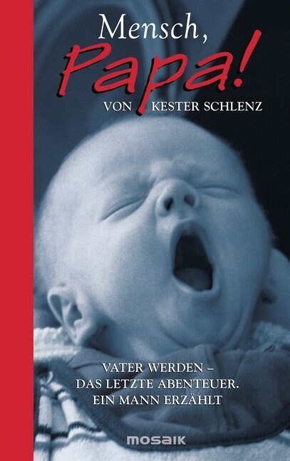 Mensch, Papa!! (Hardcover)