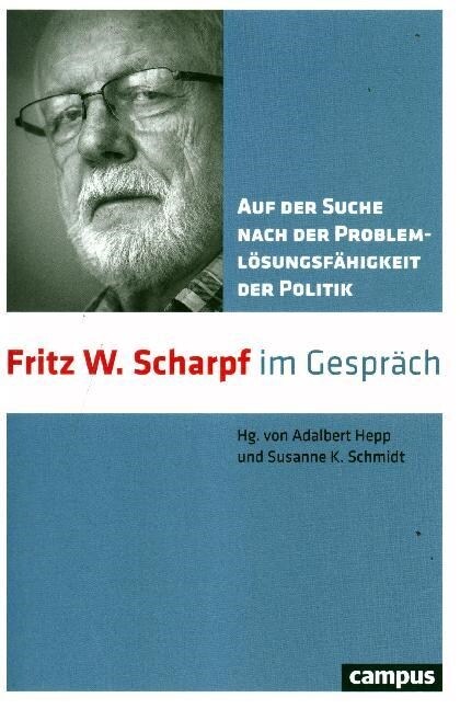 Auf der Suche nach der Problemlosungsfahigkeit der Politik (Paperback)