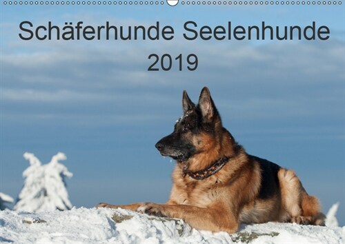 Schaferhunde SeelenhundeCH-Version (Wandkalender 2019 DIN A2 quer) (Calendar)
