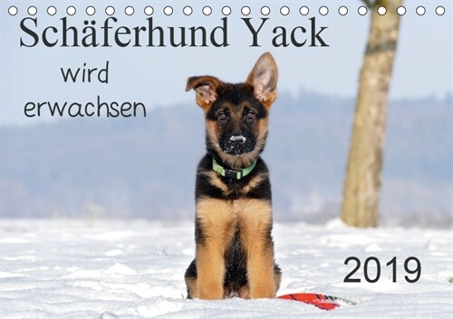 Schaferhund Yack wird erwachsen (Tischkalender 2019 DIN A5 quer) (Calendar)
