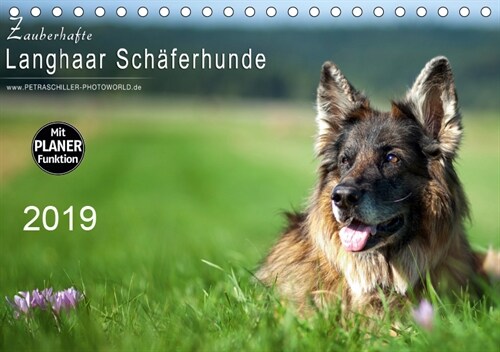 Zauberhafte Langhaar Schaferhunde (Tischkalender 2019 DIN A5 quer) (Calendar)