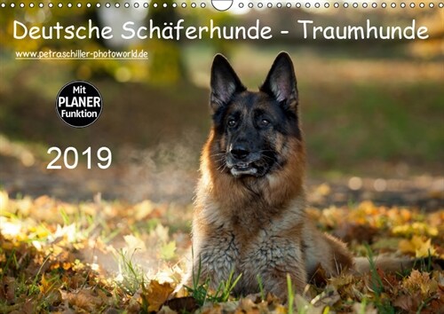 Deutsche Schaferhunde - Traumhunde (Wandkalender 2019 DIN A3 quer) (Calendar)