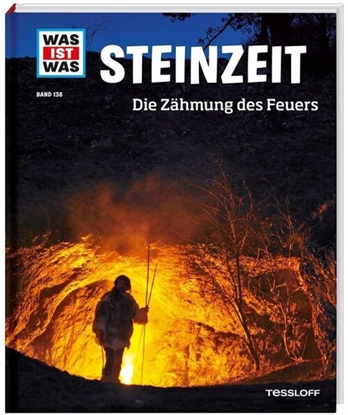 Steinzeit (Hardcover)