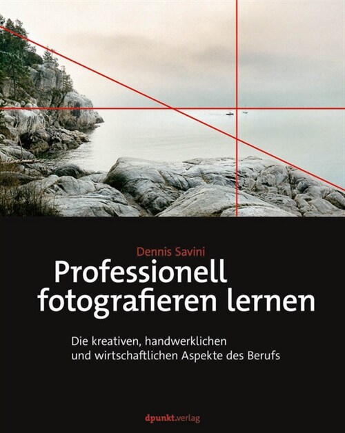 Professionell fotografieren lernen (Hardcover)