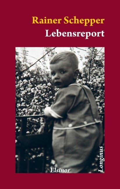 Lebensreport (Paperback)