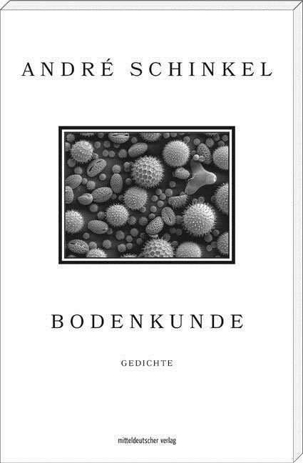 Bodenkunde (Paperback)