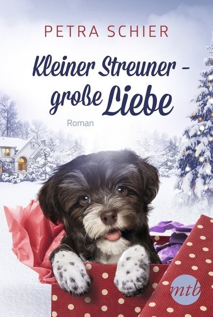 Kleiner Streuner - große Liebe (Paperback)