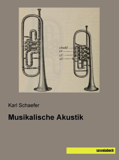 Musikalische Akustik (Paperback)