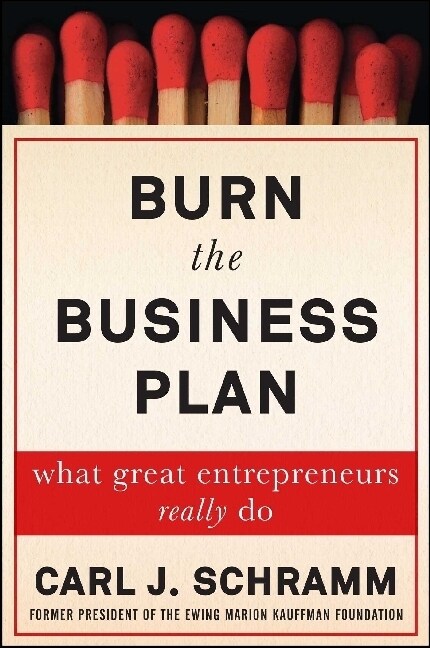 Burn the Business Plan (Paperback)