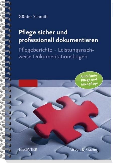 Pflege sicher und professionell dokumentieren (Paperback)