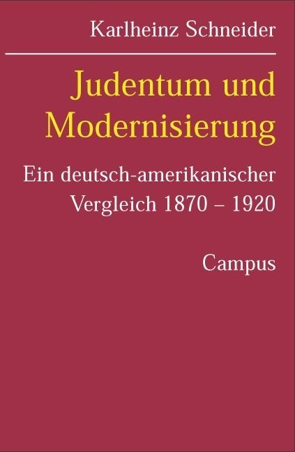 Judentum und Modernisierung (Paperback)