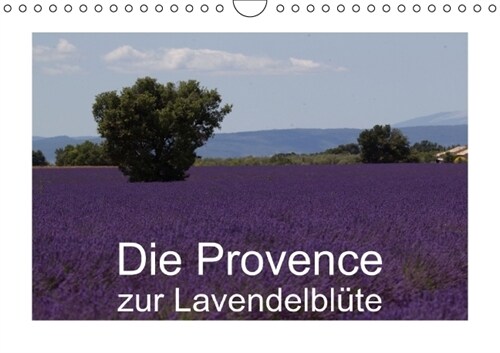 Die Provence zur Lavendelblute (Wandkalender immerwahrend DIN A4 quer) (Calendar)