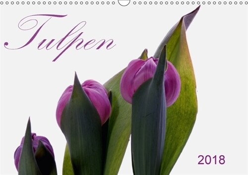 Tulpen (Wandkalender 2018 DIN A3 quer) (Calendar)