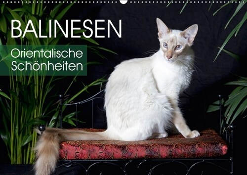 Balinesen - Orientalische Schonheiten (Wandkalender 2018 DIN A2 quer) (Calendar)