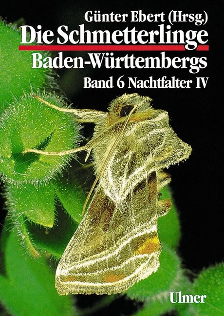 Nachtfalter. Tl.4 (Hardcover)