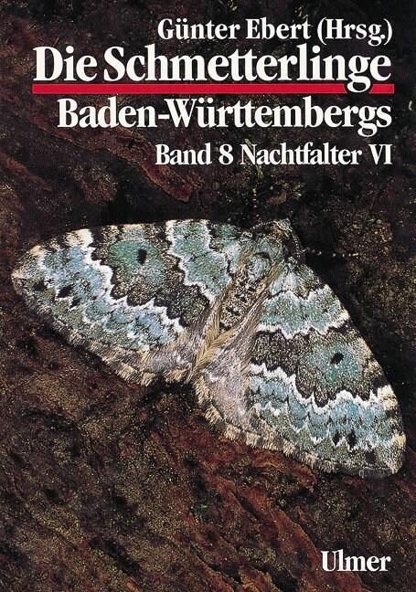 Nachtfalter. Tl.6 (Hardcover)