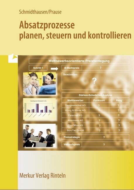 Absatzprozesse planen, steuern und kontrollieren (Paperback)