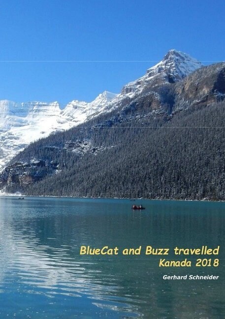 BlueCat and Buzz travelled (Paperback)