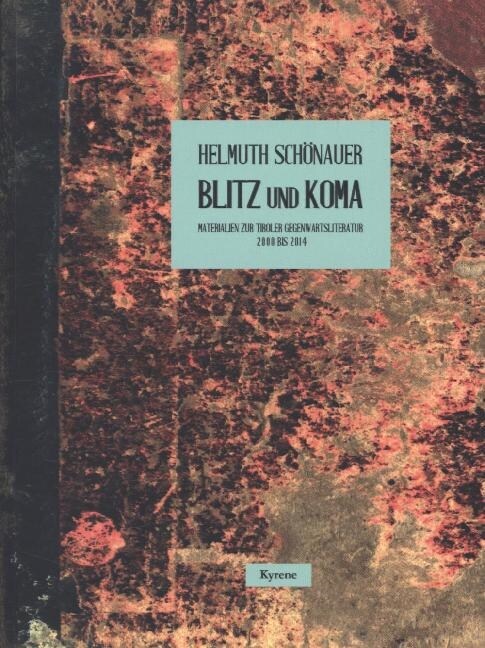 Blitz und Koma (Paperback)
