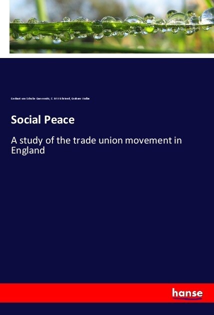 Social Peace (Paperback)