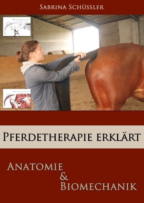 Pferdetherapie erklart (Hardcover)