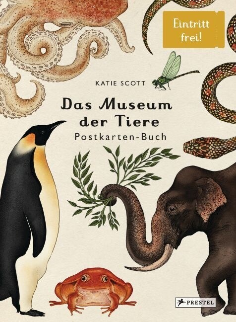 Das Museum der Tiere. Postkarten-Buch (Hardcover)