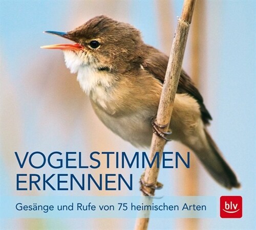 Vogelstimmen erkennen, Audio-CD (CD-Audio)