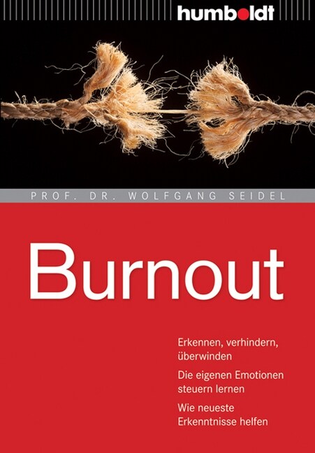 Burnout (Paperback)