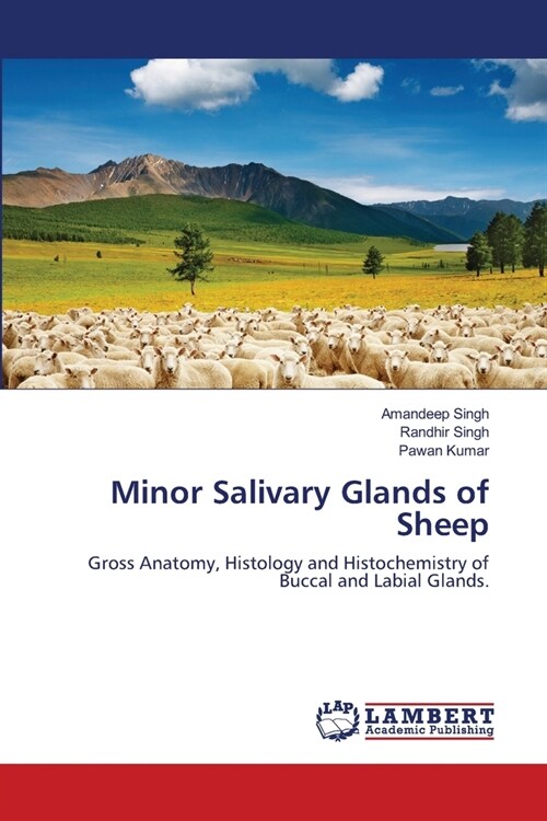 Minor Salivary Glands of Sheep (Paperback)