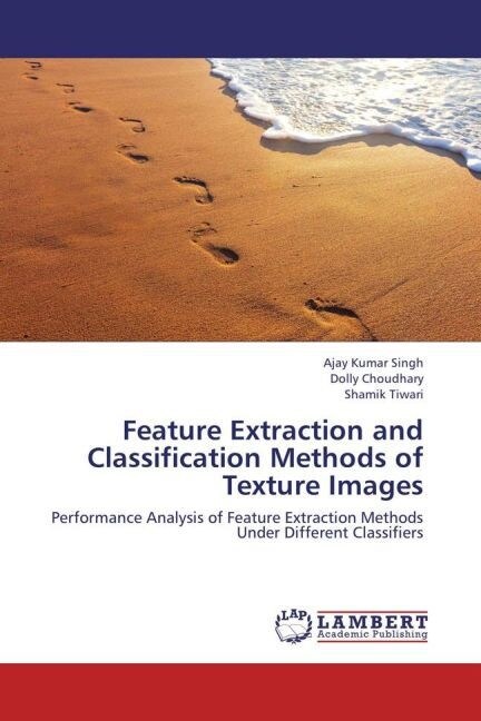 Feature Extraction and Classification Methods of Texture Images (Paperback)