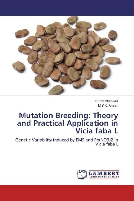 Mutation Breeding: Theory and Practical Application in Vicia faba L (Paperback)