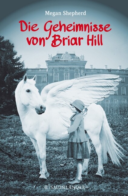 Die Geheimnisse von Briar Hill (Hardcover)