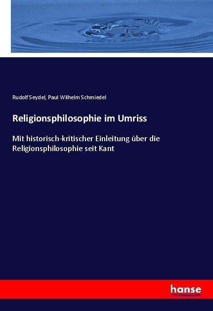 Religionsphilosophie im Umriss: Mit historisch-kritischer Einleitung ?er die Religionsphilosophie seit Kant (Paperback)