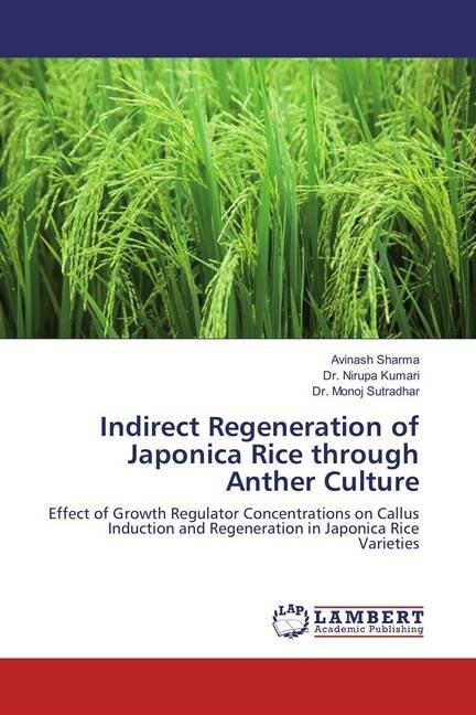 Indirect Regeneration of Japonica Rice through Anther Culture (Paperback)