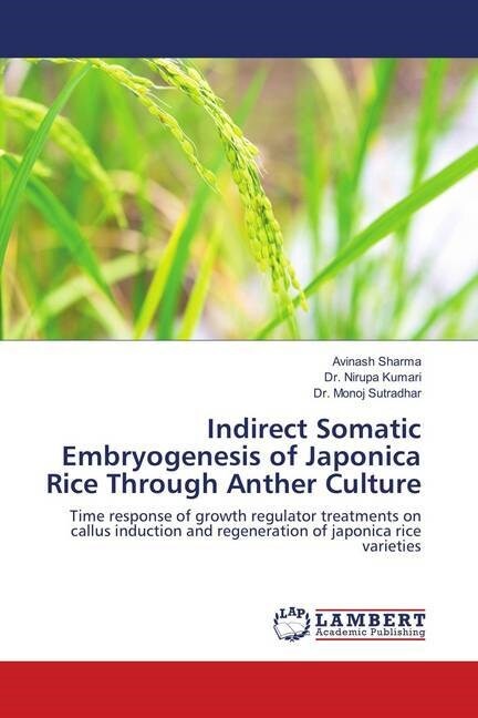 Indirect Somatic Embryogenesis of Japonica Rice Through Anther Culture (Paperback)