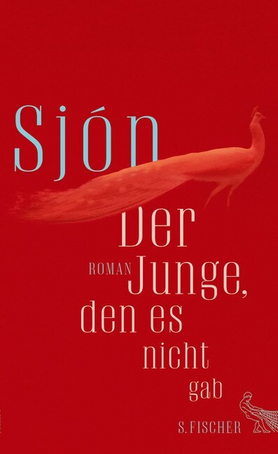 Der Junge, den es nicht gab (Hardcover)