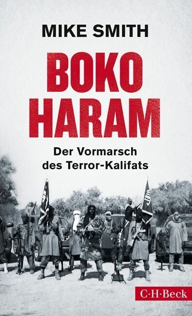 Boko Haram (Paperback)