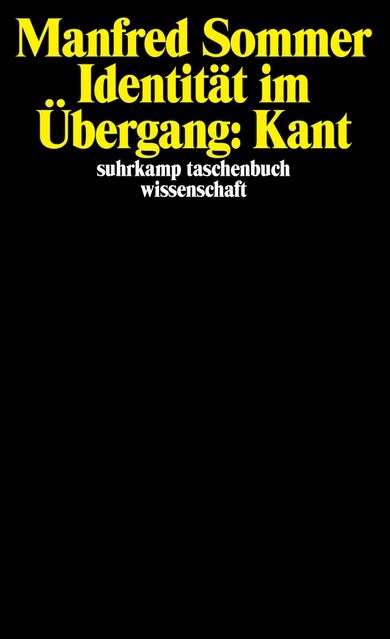 Identitat im Ubergang: Kant (Paperback)