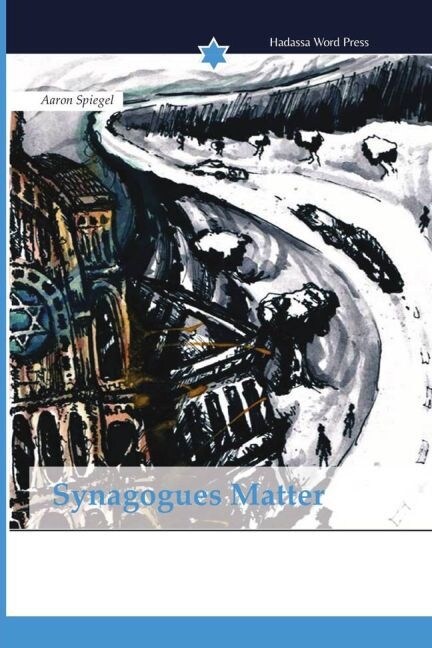 Synagogues Matter (Paperback)