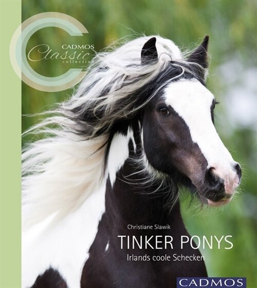 Tinker Ponys (Paperback)