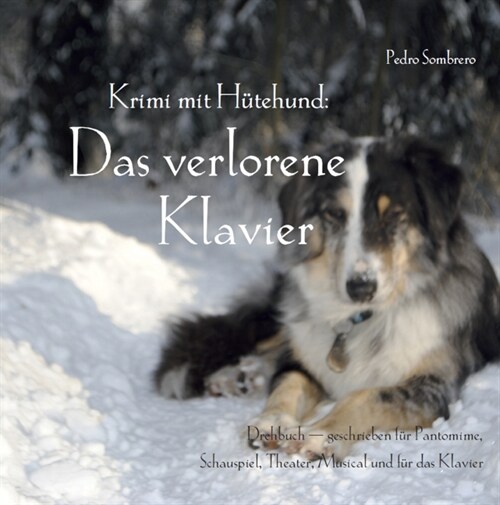 Krimi mit Hutehund: Das verlorene Klavier (Paperback)